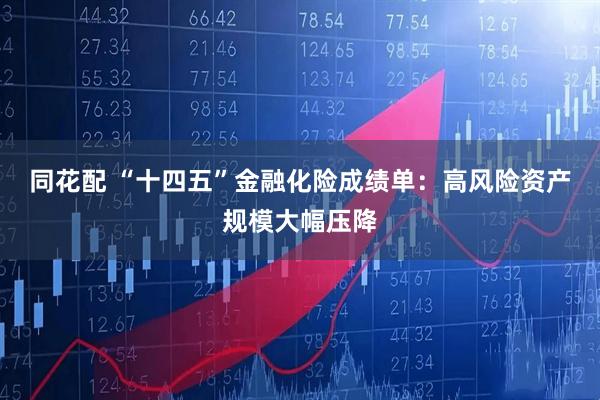 同花配 “十四五”金融化险成绩单：高风险资产规模大幅压降