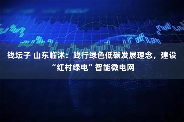 钱坛子 山东临沭：践行绿色低碳发展理念，建设“红村绿电”智能微电网